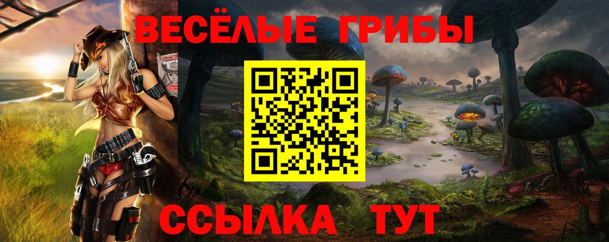 Псилоцибиновые грибы Magic Shrooms Рославль