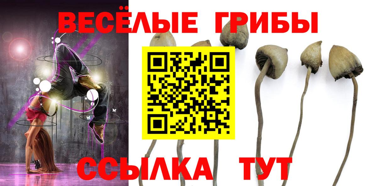 Псилоцибиновые грибы GOLDEN TEACHER  Вход с VPN  Псилоцибиновые грибы ЛСД  Рославль 
